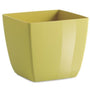 citron square resin pot on a white background