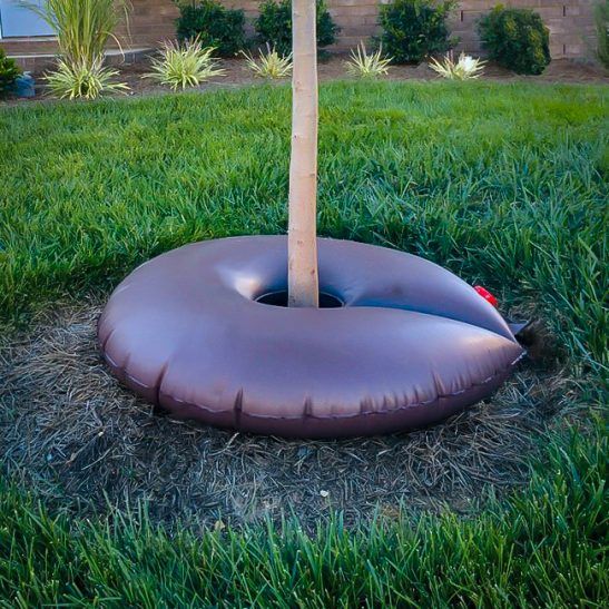 Dew Right Tree Watering Donut Bag