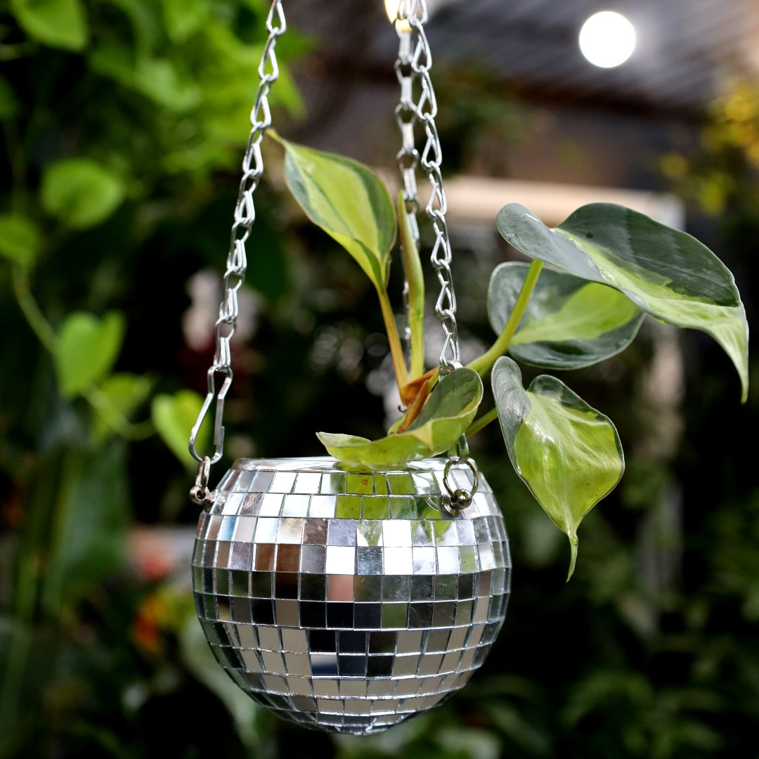 hanging disco ball planter Disco Ball Hanging Planter