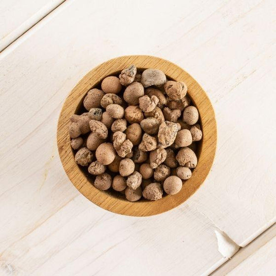 clay pebbles in a bowl