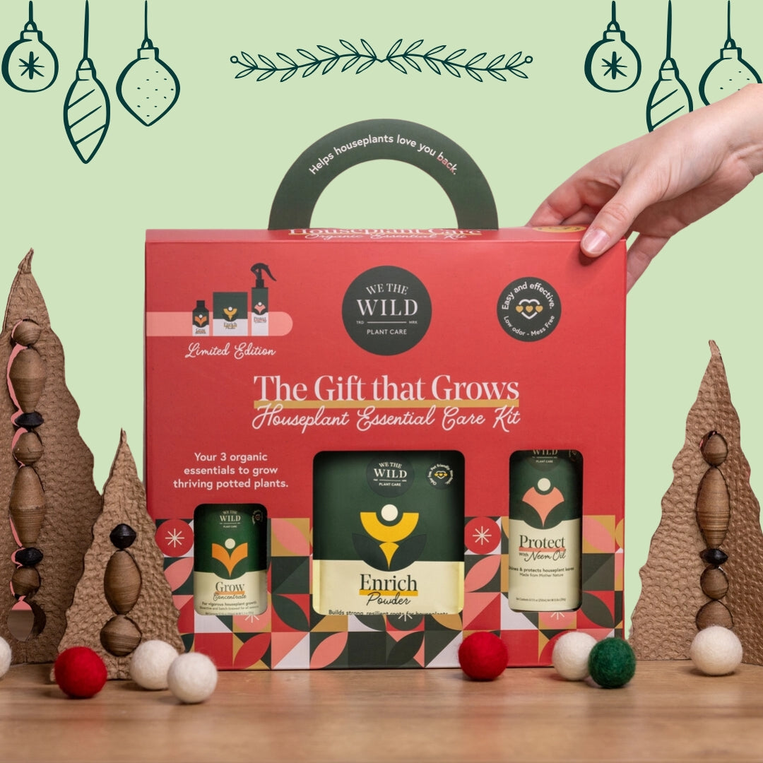 house plant gift set Houseplant Essential Care Kit Gift Set For Sale Online