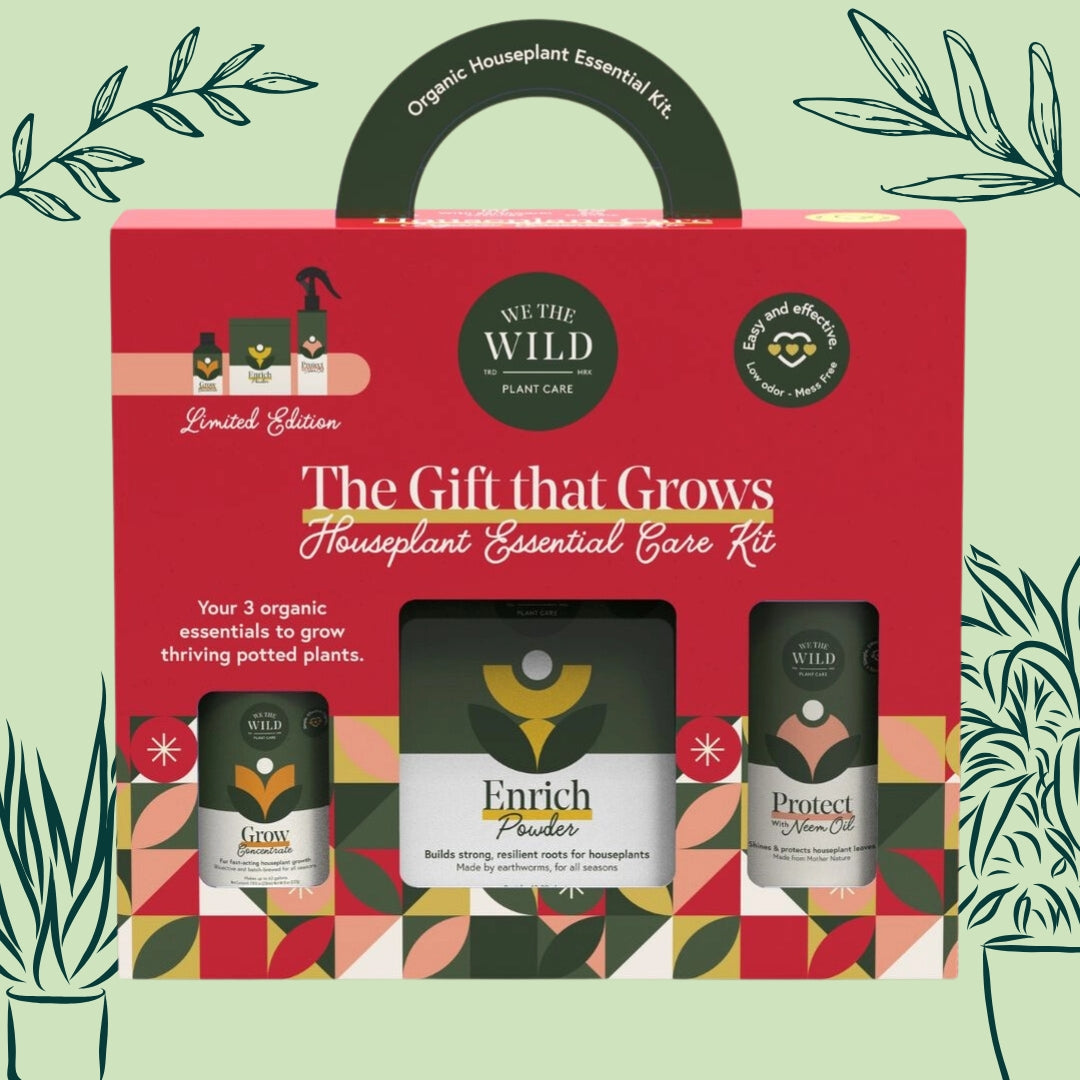 house plant kit gift Houseplant Essential Care Kit Gift Set