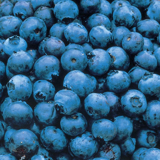 Blueberries