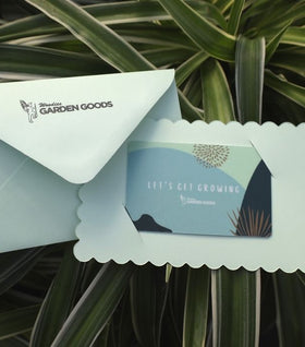 Physical Gift Cards