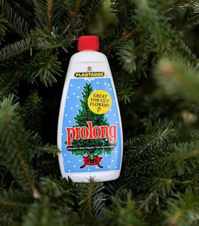 Prolong Tree Preserver