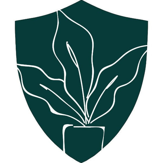 Shipping Protection
