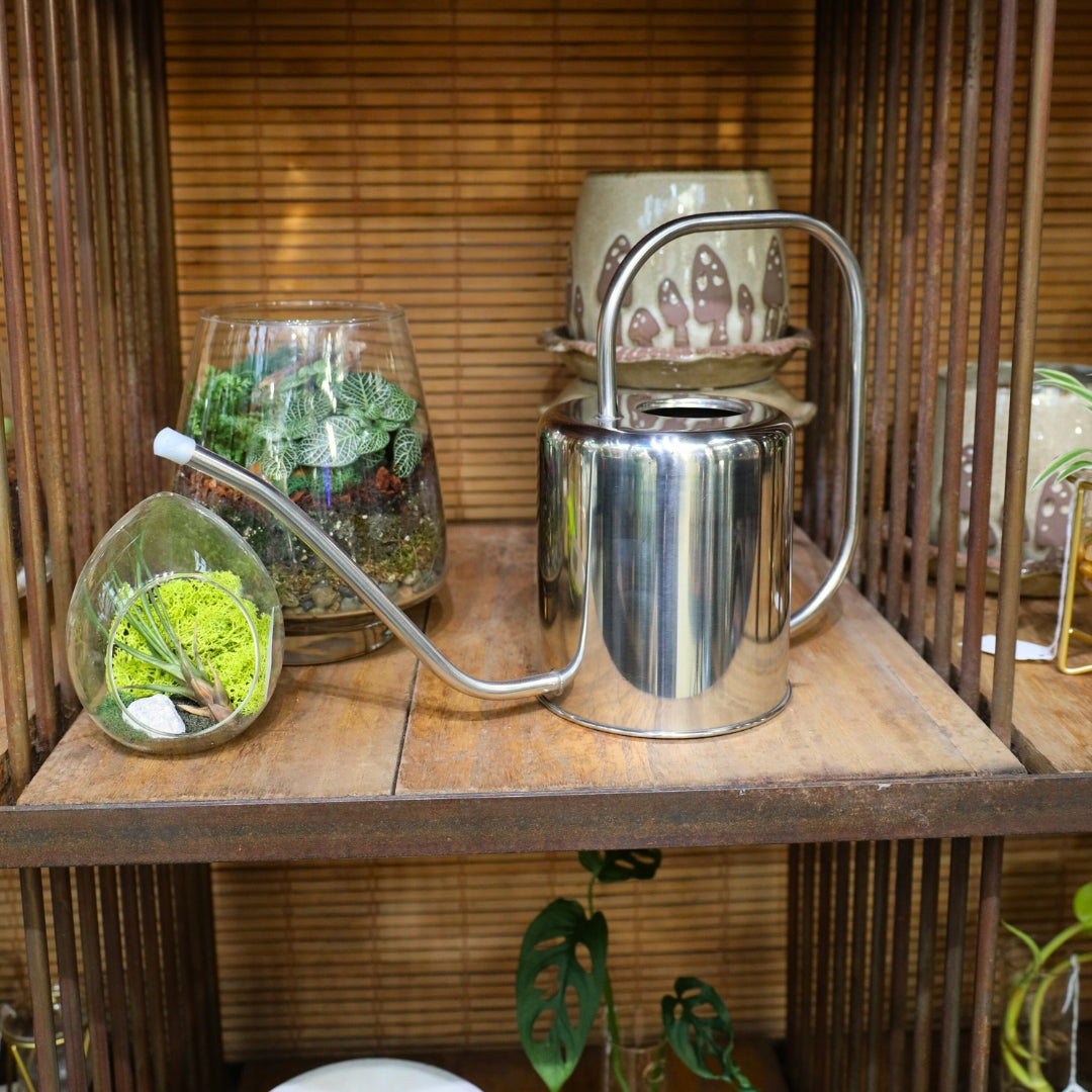 steel house plant Stainless Steel Watering Can