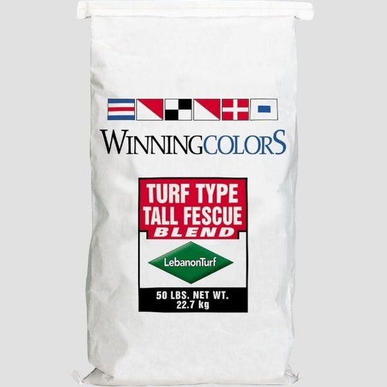 Winning Colors Fescue Blend Grass Seed