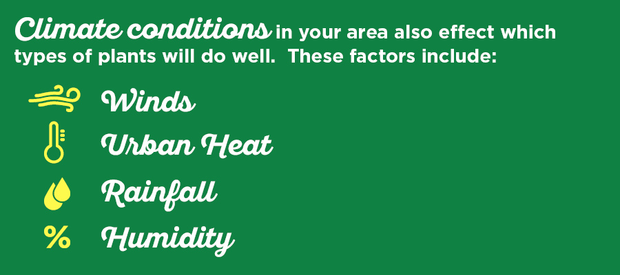 climate conditions that impact plant growth