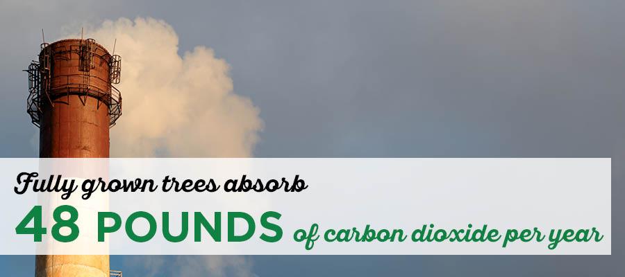 carbon dioxide smoke coming out of a