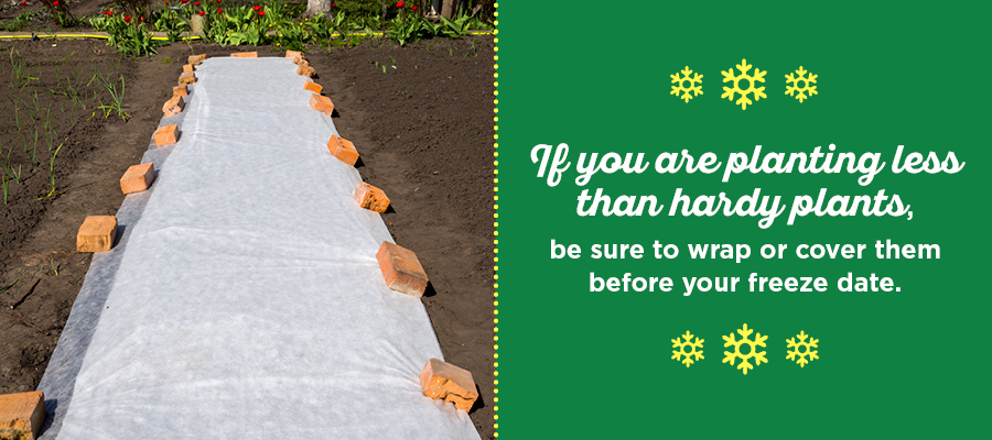 tarp covering a garden held down by bricks