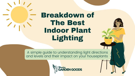 Indoor Plant Lighting Breakdown