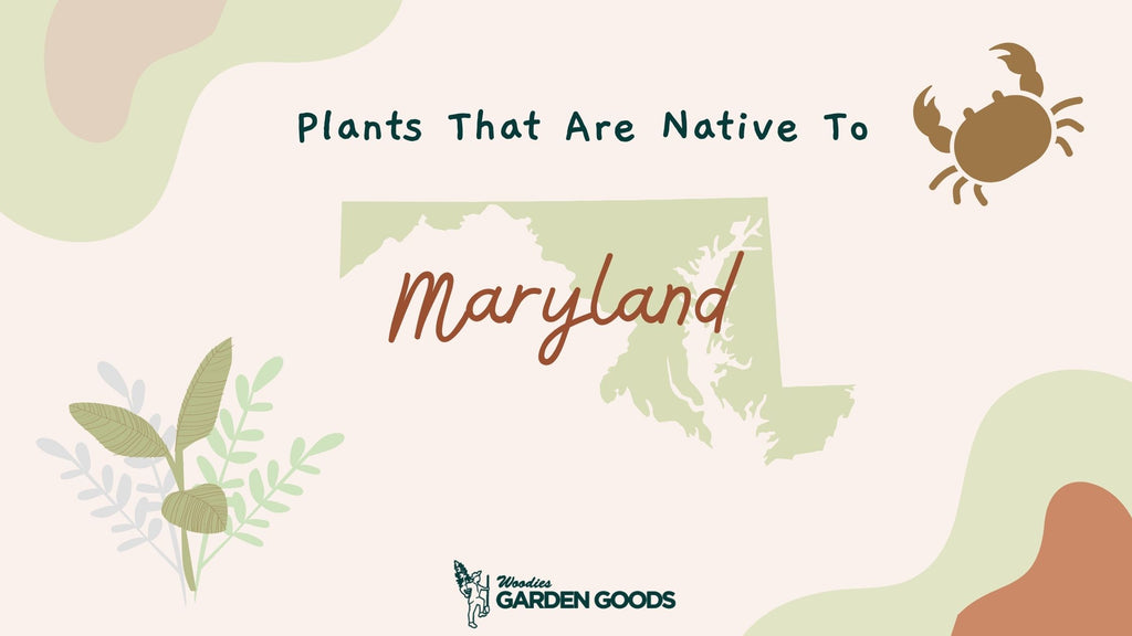 Maryland Native Planting Guide | Garden Goods Direct