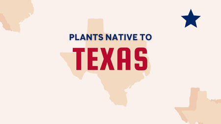 Texas Native Planting Guide