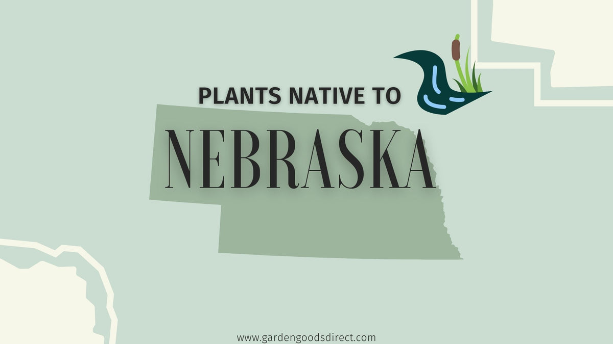 Nebraska Native Planting Guide | Garden Goods Direct