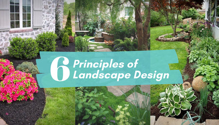6 Principles of Landscape Design