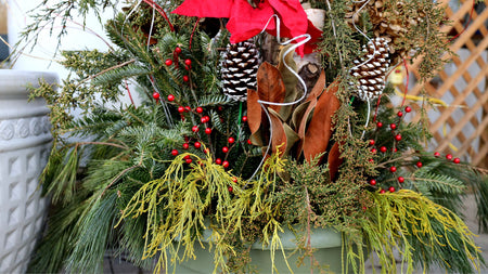 How to Create Gorgeous Winter Planters for Your Home 