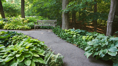 Designing a Woodland Retreat: Paths, Seating, and the Art of Slow Gardening