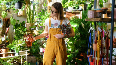 Why Every Gardener Needs Houseplants (Even If They Think They Don’t)