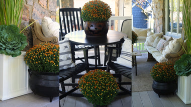 Design a Fall Porch Display To Carry You Through The Season