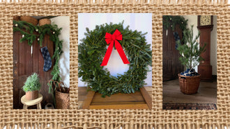 Woodie’s Picks: Plants To Bring Festive Cheer Indoors & Out This Holiday Season