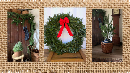 Woodie’s Picks: Plants To Bring Festive Cheer Indoors & Out This Holiday Season