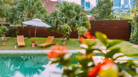 My 4 Favorite Tropical Patio Plants for Containers, Planters, and Poolside Color | Woodie’s Picks