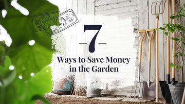 7 Ways to Save Money in the Garden