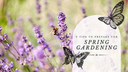 3 Fall Gardening Tips That Will Make You Better Prepared for Spring