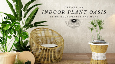 Create an Indoor Plant Oasis