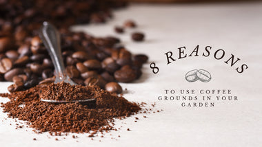 8 Reasons to Use Coffee Grounds in Your Garden