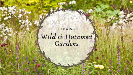 Growing a Wild, Naturalistic Garden Landscape