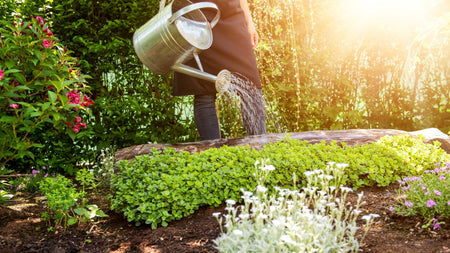 6 Ways Gardening Boosts Your Immune System