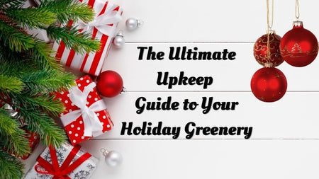 The Ultimate Upkeep Guide to Your Holiday Greenery