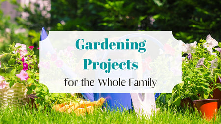 Gardening Projects for the Whole Family