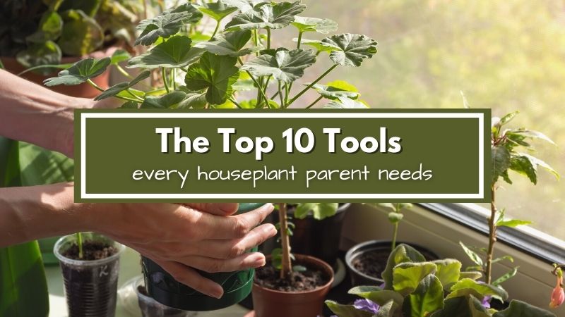 Every Indoor Gardener Needs These Important Tools - Garden Gate Guides