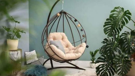 Top 5 Houseplants for Beginners