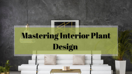 Mastering Interior Plant Design