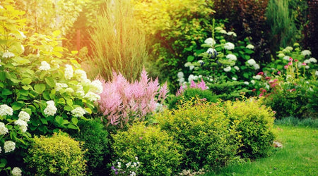 Gardening Trends for 2021