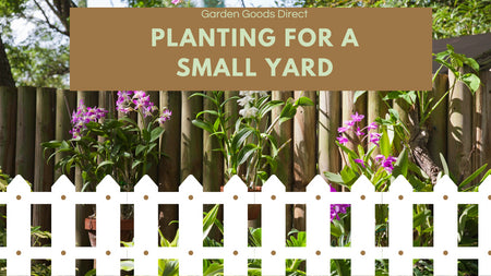 Planting For a Small Yard