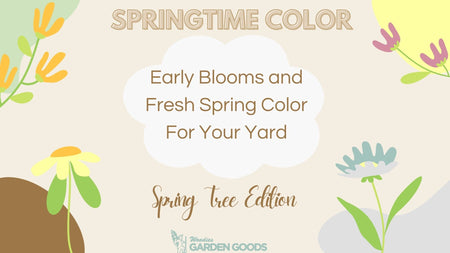 Early Spring Blooms For Your Yard: Spring Tree Edition