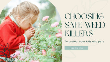 Tips for Choosing Weed Killers That Won't Harm Kids or Pets