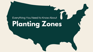 Everything You Need to Know About Planting Zones