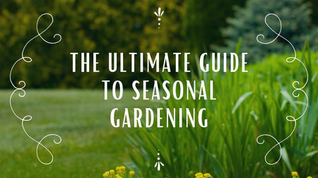 The Ultimate Guide to Seasonal Gardening