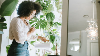 How to Care for Houseplants