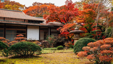 Guide to Fall Planting