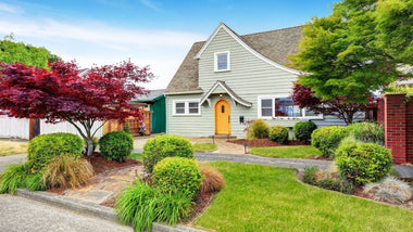 How to Choose Trees for Your Front Yard