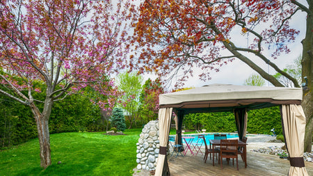 The Incredible Benefits of Shade Trees for Humans and the Environment