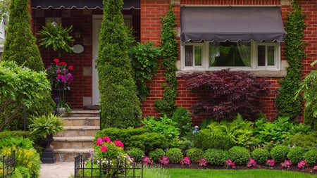 Woodie’s Picks: Evergreen Trees For Small-Space Landscaping