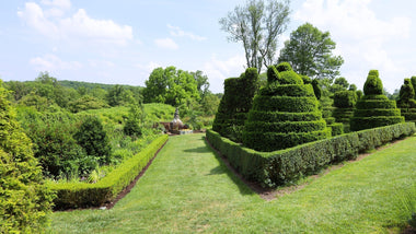 How To Create A Formal Garden